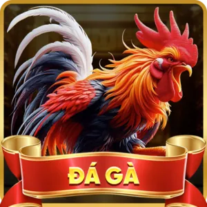 Cải thiện trải nghiệm người dùng với c54 app