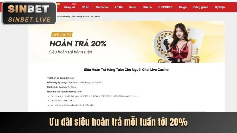 Cá cược trực tiếp sôi động trên C54 App